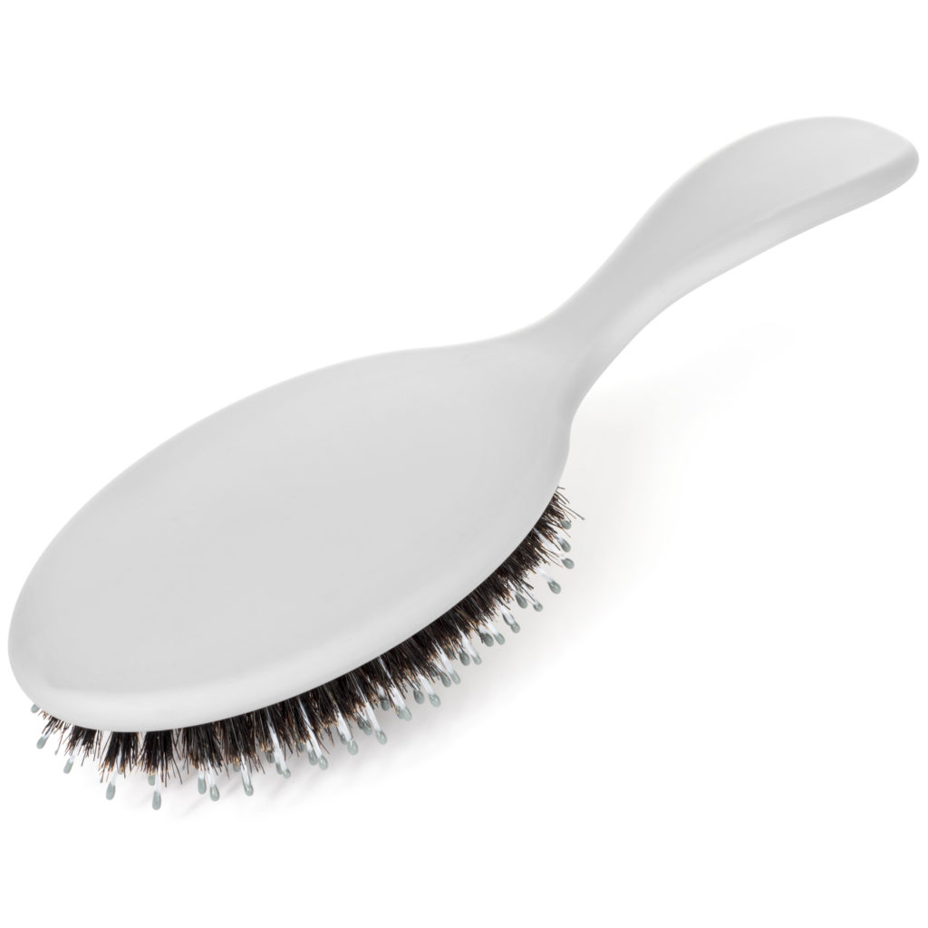 Oval Cushion Brush 100 Boars Hair • Brigitte's Brushes